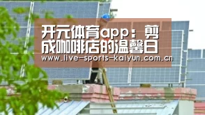 开元体育app:剪成咖啡店的温馨日常?《东京喰种》确定引进内地