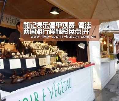 和记娱乐德甲观赛 德法两国游行程精彩盘点|开云体育网站(图2) 开元体育app