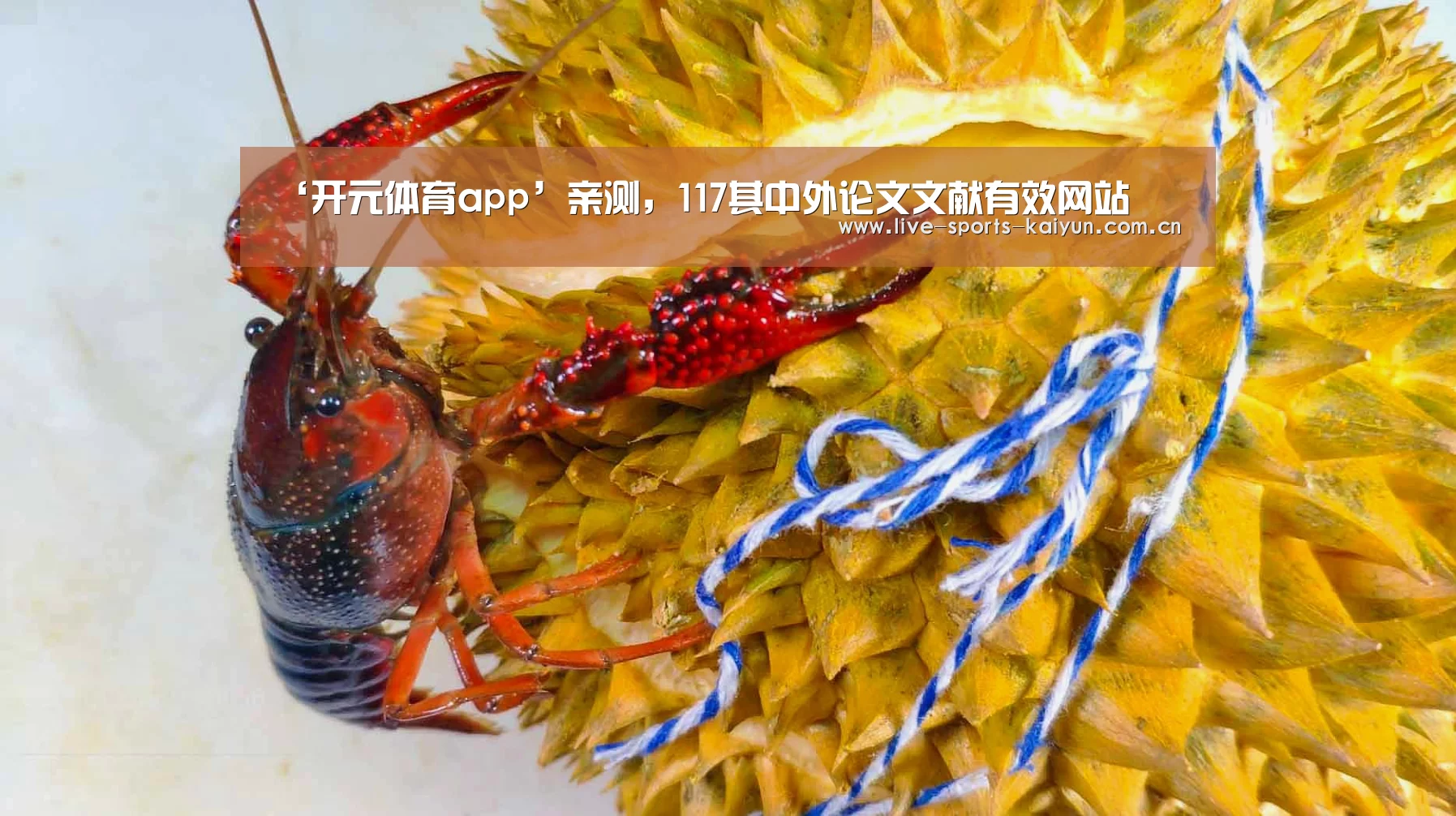 ‘开元体育app’亲测,117其中外论文文献有效网站(图4) 开元体育app