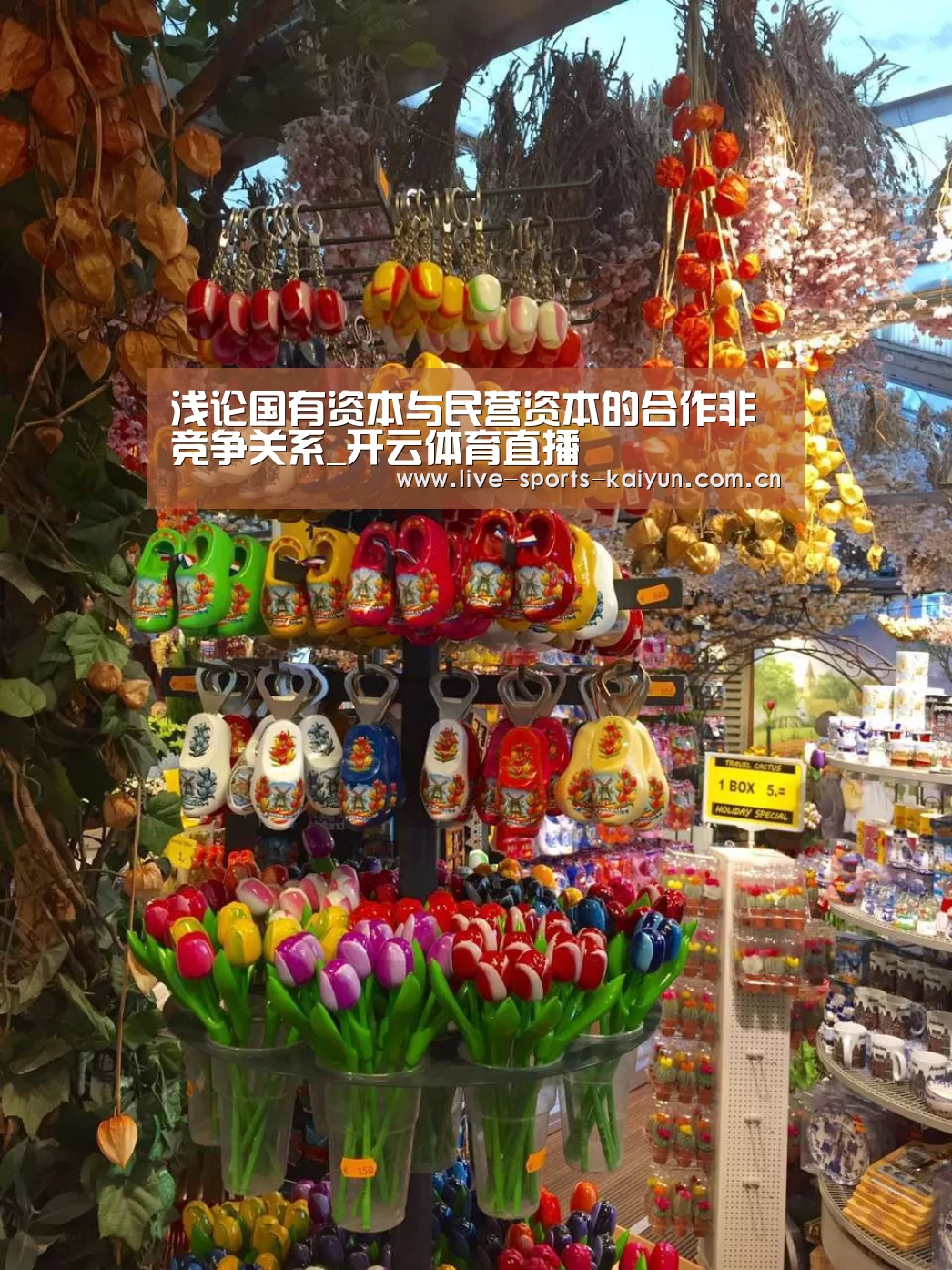 开云体育直播