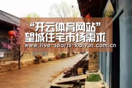 “开云体育网站”望城住宅市场需求预测分析(图1) 开元体育app