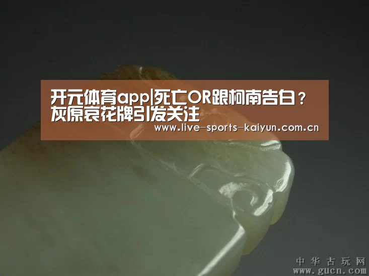 开云体育直播